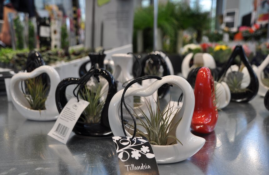 На ВВЦ открылась международная выставка цветов 6 фото