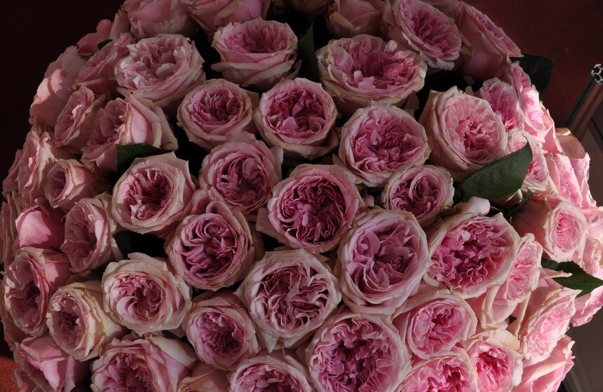 На ВВЦ открылась международная выставка цветов 3 фото