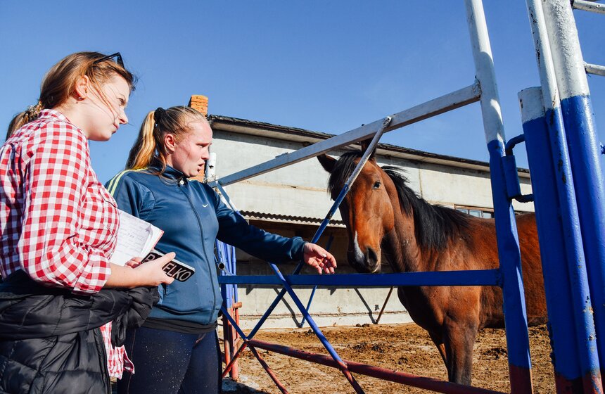 Конюшня-приют в Подмосковье: как живут лошади, списанные со счетов 9 фото