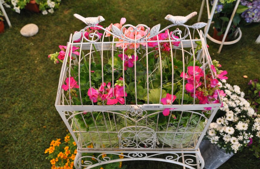 На ВВЦ открылась международная выставка цветов 11 фото