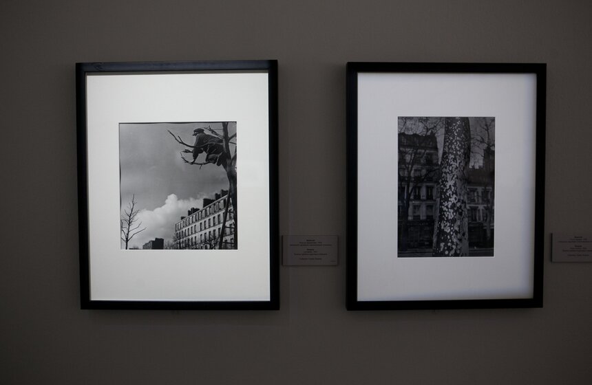 Брассай в Мультимедиа Арт музее 4 фото