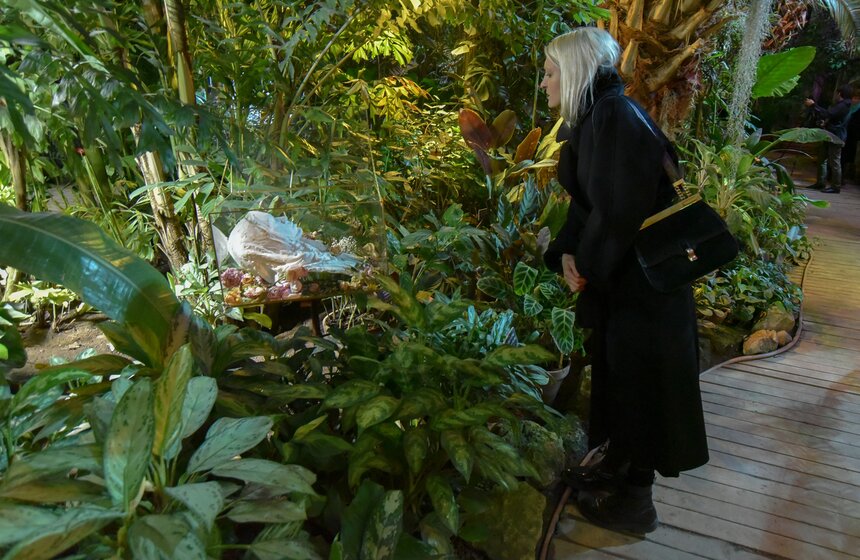 Выставка "Ускользающая красота" представлена в "Аптекарском огороде" и не зря, ведь именно природа символизирует жизнь и перерождение