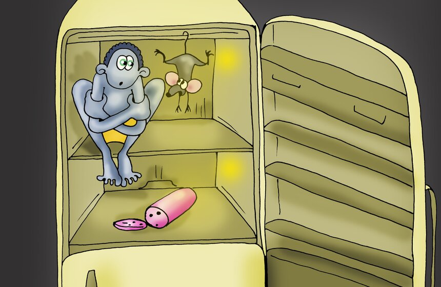 Выбегать в трусах на улицу в первый же день закалки не стоит. Лучше пройти месячную подготовку в комнате или на балконе, а уже потом выходить на открытый воздух. Кончено, стоит учитывать и погоду: если на балконе жарче, чем в квартире, то не тратьте время, обнимите холодильник на три минуты. Если на балконе -20, то опять же – не рискуйте и обнимите холодильник.