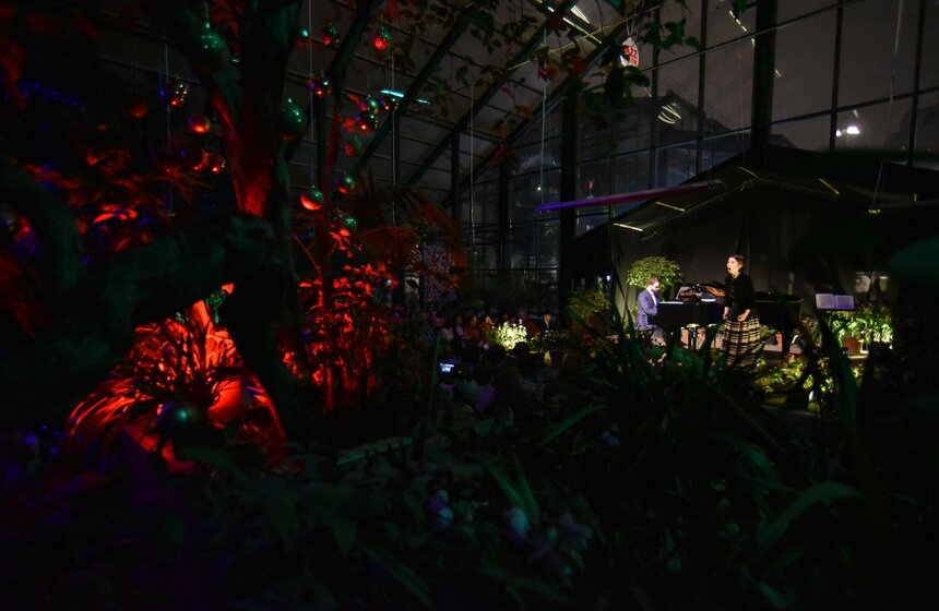 Концерт проходил в субтропической оранжерее "Аптекарского огорода", которая является самой большой в в Ботаническом саду МГУ