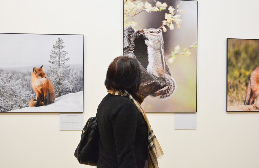 Выставка "Первозданная Россия" познакомит с природой и географией необъятной России