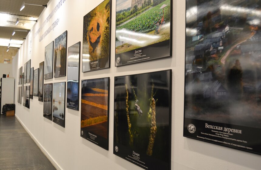 В рамках фестиваля пройдут встречи, мастер-классы, а также увлекательные лекции