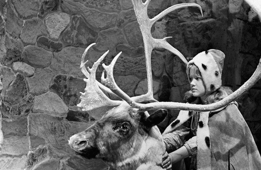 Актриса Елена Проклова отмечает юбилей 12 фото