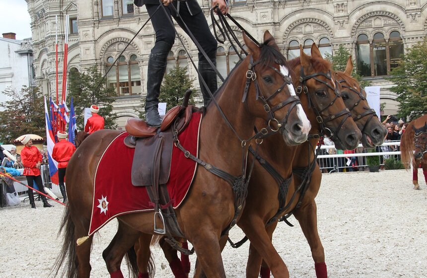 На Красной площади прошли показательные конные выступления 8 фото