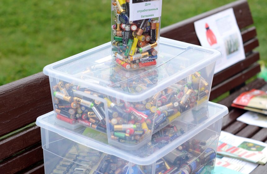 В Царицыно прошла акция "Москва - наш зеленый дом"