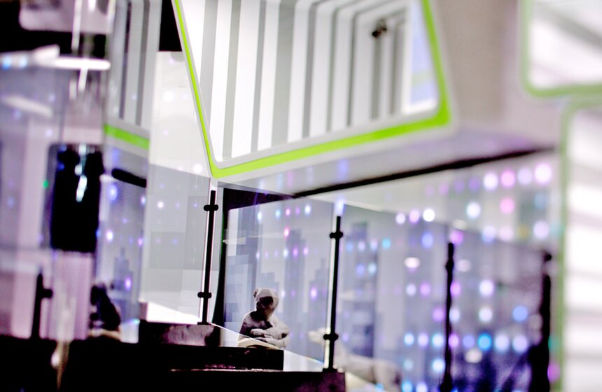 Фото: m24.ru/Григорий Дудниченков