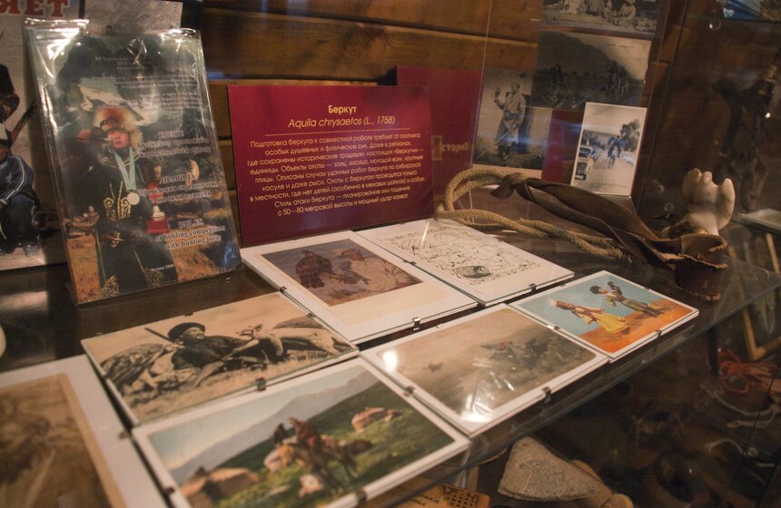В Мытищинском районе работает уникальный Музей соколиной охоты 7 фото