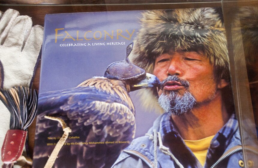 В Мытищинском районе работает уникальный Музей соколиной охоты 12 фото