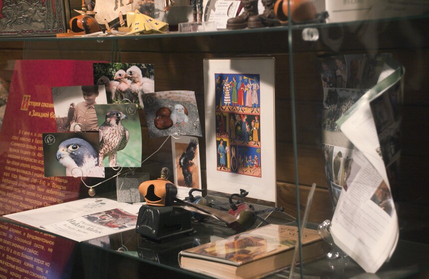 В Мытищинском районе работает уникальный Музей соколиной охоты 10 фото