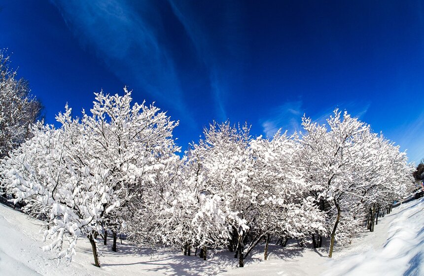 Но уже 14 февраля выглянуло солнце, и инстаграм-аккаунты москвичей заполнились сотнями невероятно красивых "последствий" исторического снегопада.