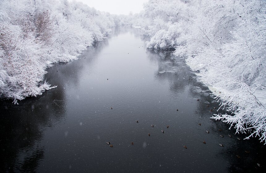 В городе чистили улицы больше 62 тысяч человек и 8,5 тысячи единиц уборочной техники. Снег с трасс и дворов вывозили свыше двух тысяч самосвалов.