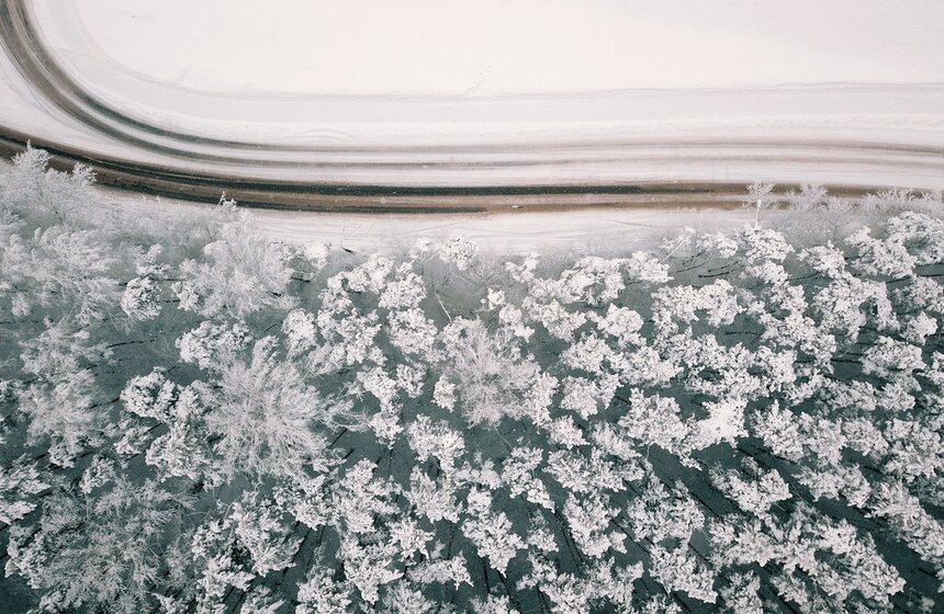 Портал "Метеоновости" уточнил, что на ВДНХ суточная сумма осадков составила 14 миллиметров, большая часть выпадала в виде снега. А средний прирост свежевыпавшего снега по столице составил 12 сантиметров.