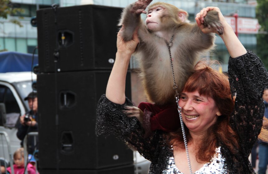 Ко Дню города цирк Никулина устроил уличное представление 5 фото