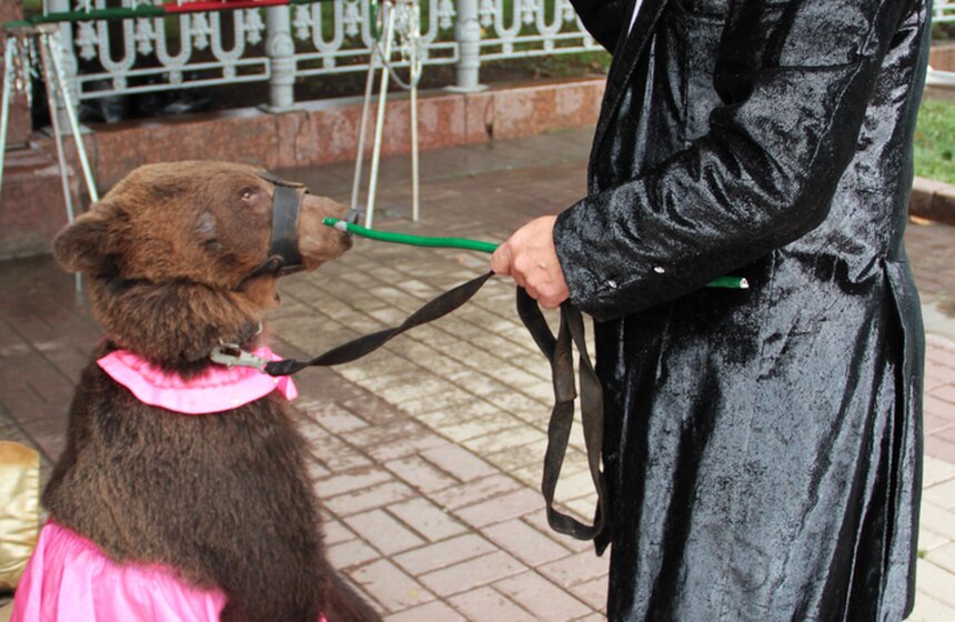 Ко Дню города цирк Никулина устроил уличное представление 6 фото