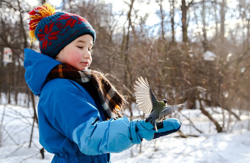 Кто обитает в столичных парках 4 фото