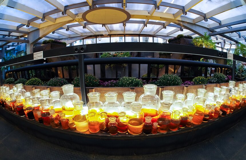 В день открытия выставки на площадке субтропической оранжереи состоялся необычный концерт "Музыка для цветов"