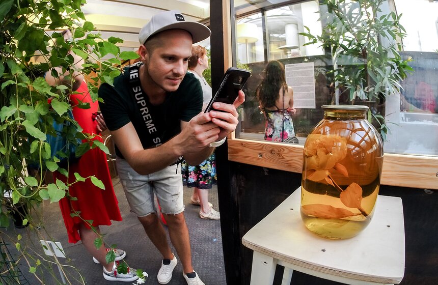 В этом пространстве зритель проживает художественную реальность как путь, а траектория его движения подчеркивается неоновой нитью — воображаемой спиралью ДНК Чайного Гриба