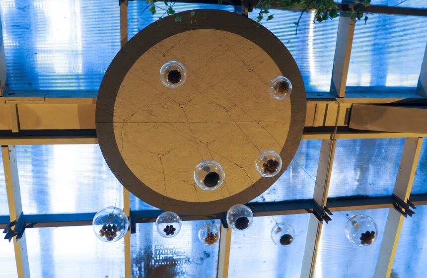 Топография выставки делится на три зоны: Зона Семян, Зона Роста и Цветущий