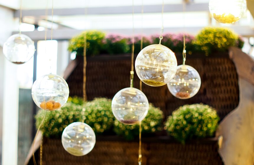 Гости увидят ритуальный танец прорастания семян, заспиртованные в сосудах объекты, натюрморты, звуковые скульптуры и многое другое