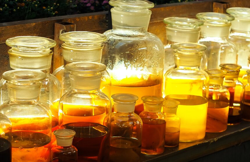 Систему координат в Зоне Роста определяет Чайный Гриб Комбуча-Достоевский, разместивший свое многоликое творческое семейство в специальных сосудах