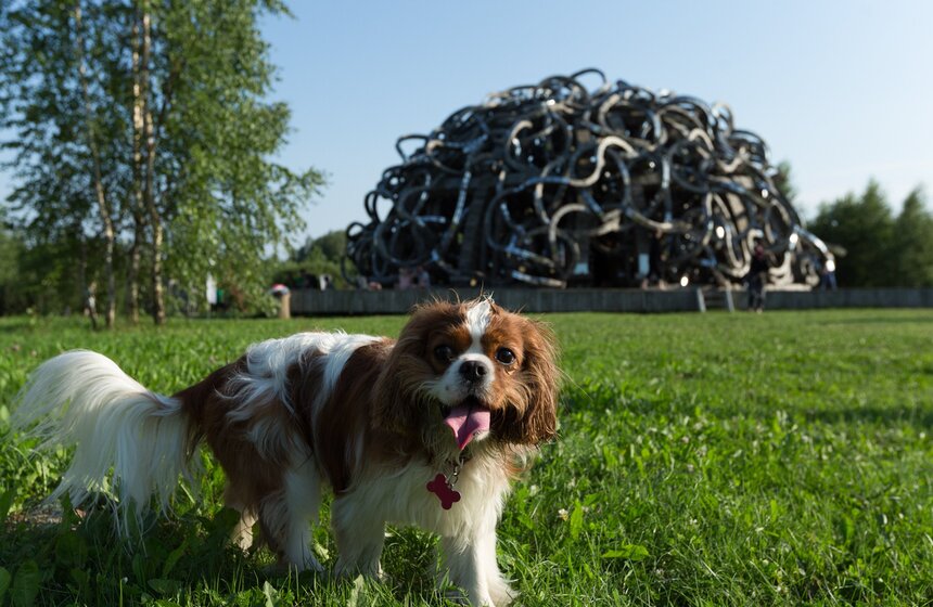 С 27 по 29 июля в Калужской области прошел фестиваль "Архстояние – 2018". В этом году организаторы выбрали новый формат и создали в Никола-Ленивце пространство единого спектакля, наполненное не только архитектурой, но и многочисленными перформансами. В этом году фестиваль посвящен теме "Со-Здание". Программа в 2018 году состояла из 16 перформансов и двух новых архитектурных объектов. В предпродаже было продано две с половиной тысячи билетов, а всего организаторы ожидали пять тысяч посетителей.