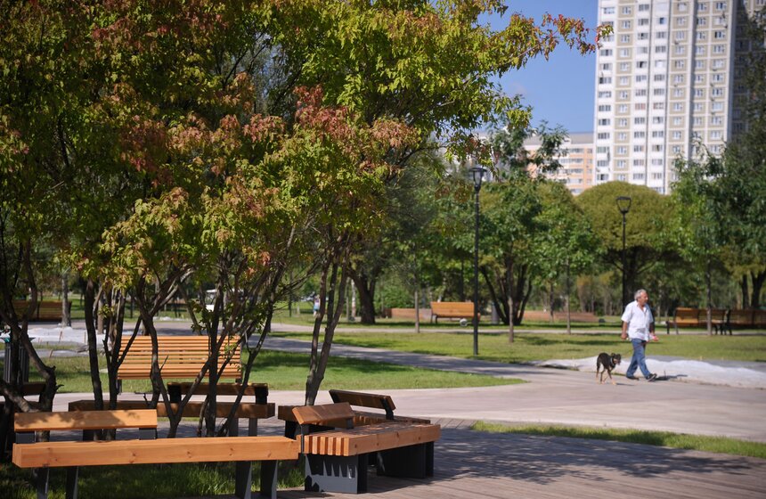В парке расставили скамейки, выложили плиткой дорожки, провели чистку зеленых насаждений и посадили новые деревья.