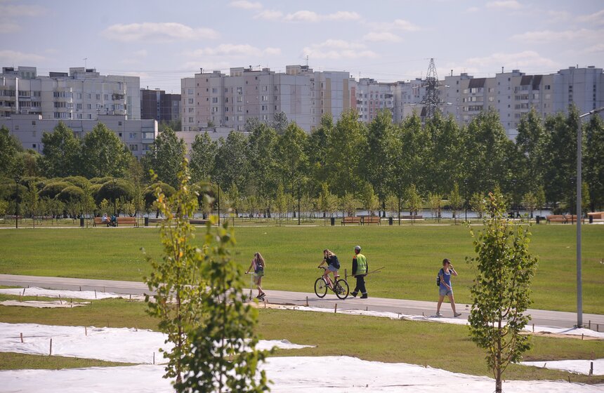 Под белым полотном растет газон. "Здесь особый газон. Он придаст роскошный вид всему парку, а чтобы трава быстрее проросла, ее покрыли геотканью", – отметил Петр Бирюков.