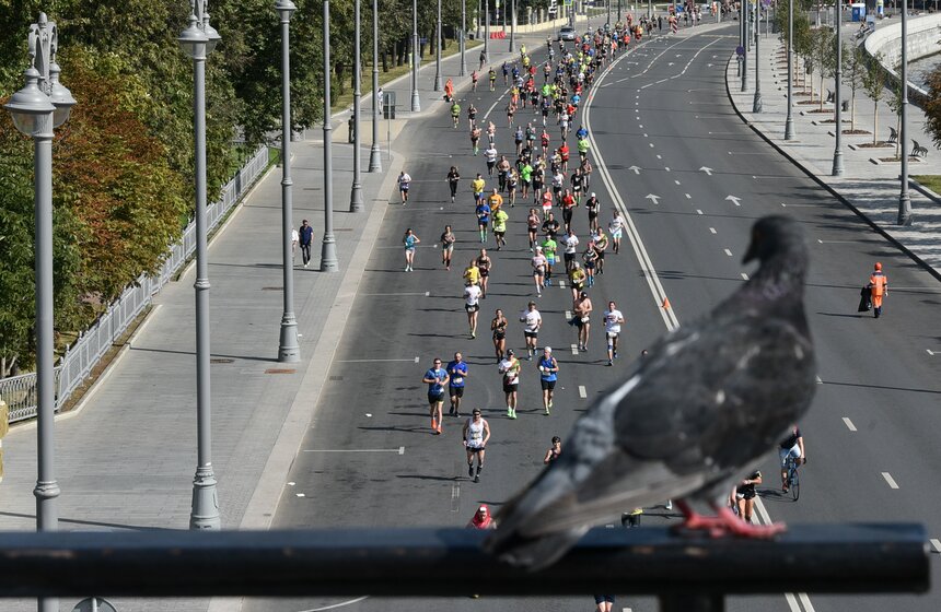 Среди мужчин первым оказался 36-летний Дмитрий Сафронов, который пробежал дистанцию за 1 час 6 минут 27 секунд.