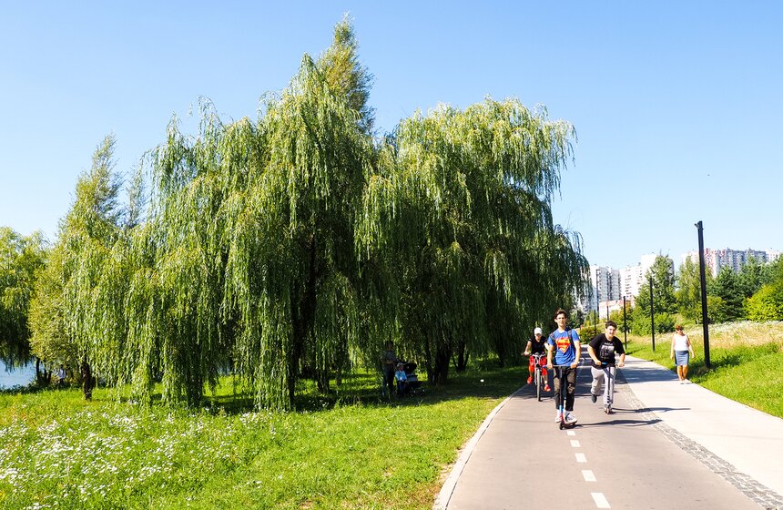 В Митинском ландшафтном парке появилась велодорожка, проходящая через самые живописные места. Ее общая длина – 4,5 километра.