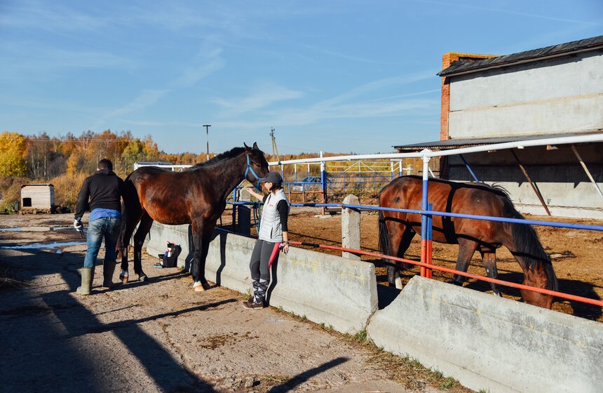 А есть в Третьяково и кони, которых выкупили полностью, но оставили на постой. На фото – волонтер Ира и ее личная лошадь, которую она когда-то сама спасла с бойни и привезла в приют.