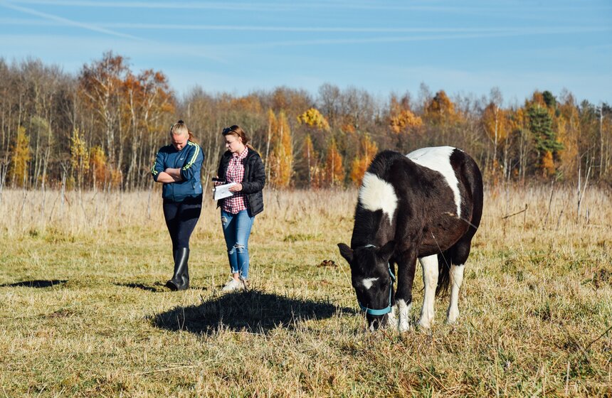 Анастасия Корягина (на фото слева) открыла приют для лошадей в деревне Третьяково около шести лет назад. К настоящему моменту количество ее подопечных насчитывает порядка 57 коней.