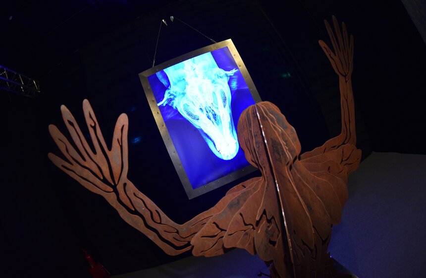 В экспозиции, рассказывающей о девяти кругах ада, представлено 27 работ: 22 скульптуры, отражающие человеческие пороки (Гнев, Блуд, Чревоугодие, Лицемерие и другие), 4 всадника Апокалипсиса и посмертная маска Данте