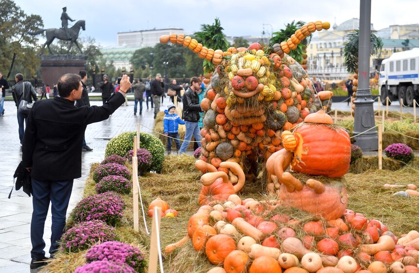 Площадки фестиваля украсили композиции из тыкв и цветов на сказочную тематику. Для этого потребовалось более 100 тонн тыквы и около 10 тысяч живых растений. Посетителей ожидают кулинарные и творческие мастер-классы, концерты, интерактивные программы и другие развлечения.