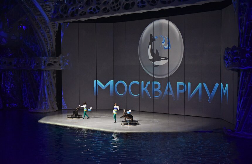 Праздничную программу подготовили и байкальские нерпы