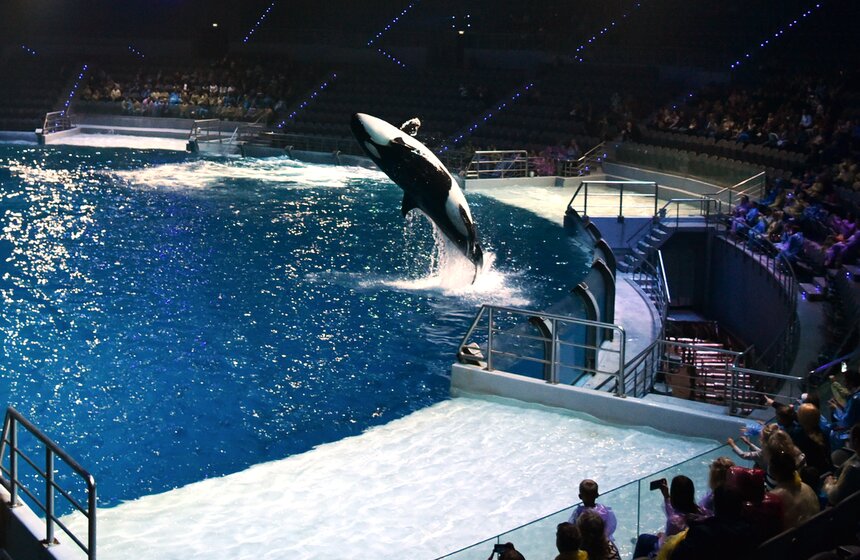 "Москвариум" на ВДНХ открылся для посетителей 5 августа 2015 года