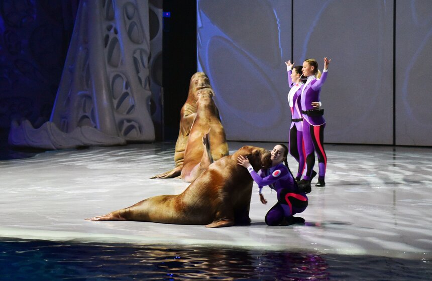 За три года "Москвариум" посетили более пяти миллионов человек