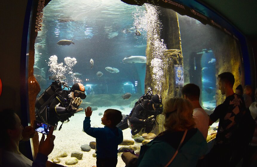 Праздничное шоу показали и водолазы "Москвариума", которые порадовали юных зрителей игрой "в пятнашки" через стекло аквариума