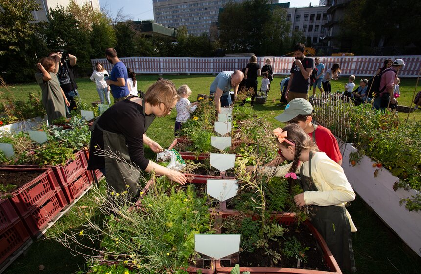 Вместе с мамами и папами малыши ухаживали за плодовыми культурами