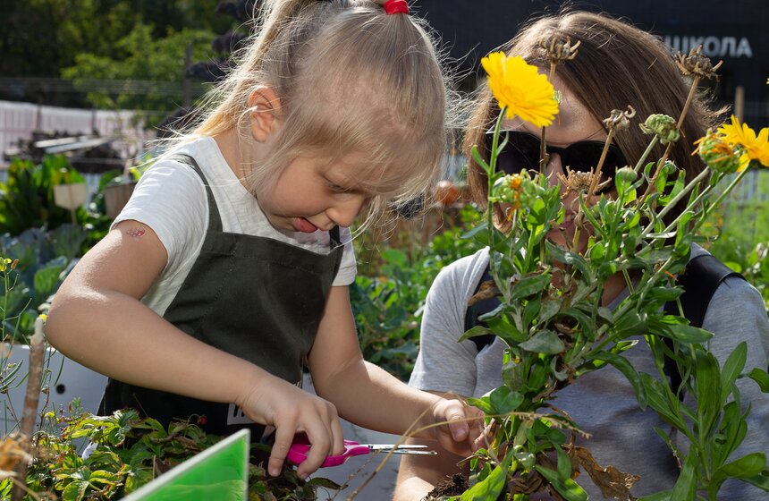 На протяжении всего лета все желающие смогли посадить свой собственный урожай