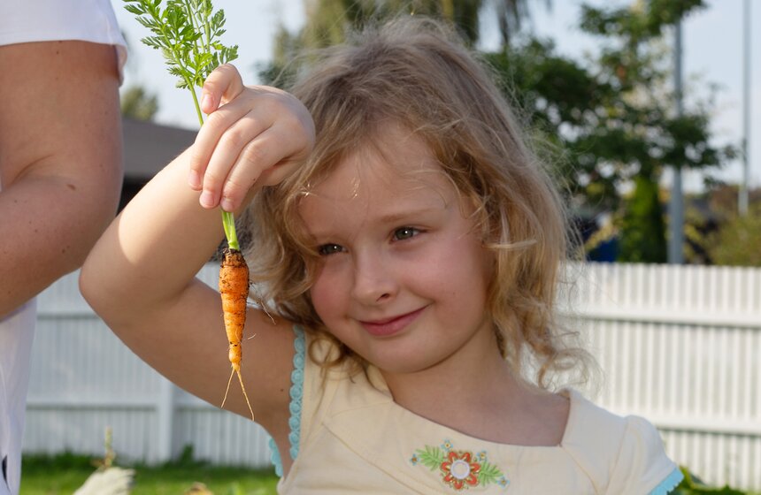 Наиболее урожайным лето стало для моркови и тыквы