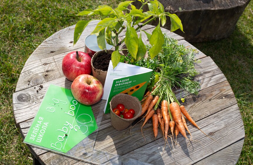 Проект "Общественный огород" на базе "Зеленой школы" Парка Горького существует уже второй сезон