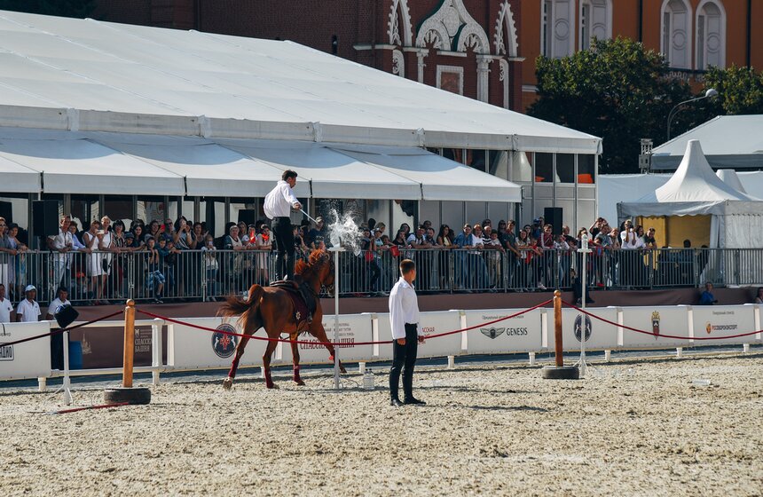 В Кремлевской школе верховой езды лошади в основном буденовской породы