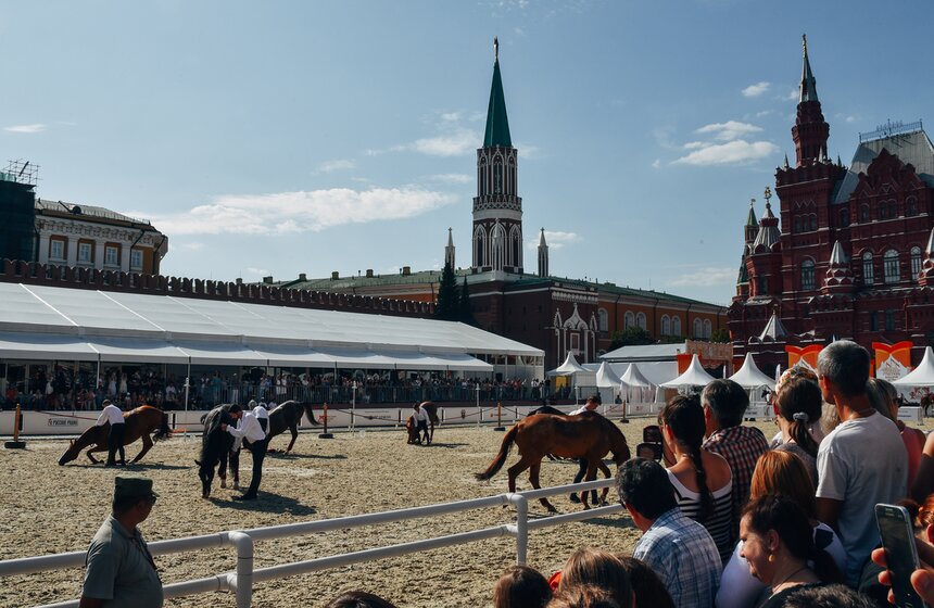 Ради выполнения сложнейших элементов к лошади предъявляются не только технические, но психологические требования