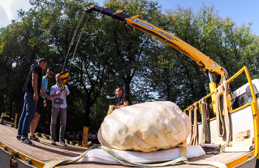 Тыкву взвесили для Книги рекордов России и устроили фотосессию