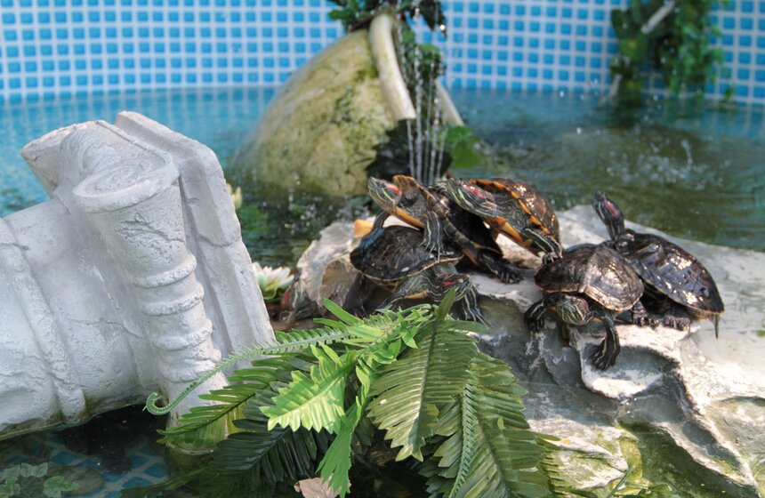 В кинотеатре "Полет" проходят мастер-классы "Коллажная техника" 7 фото