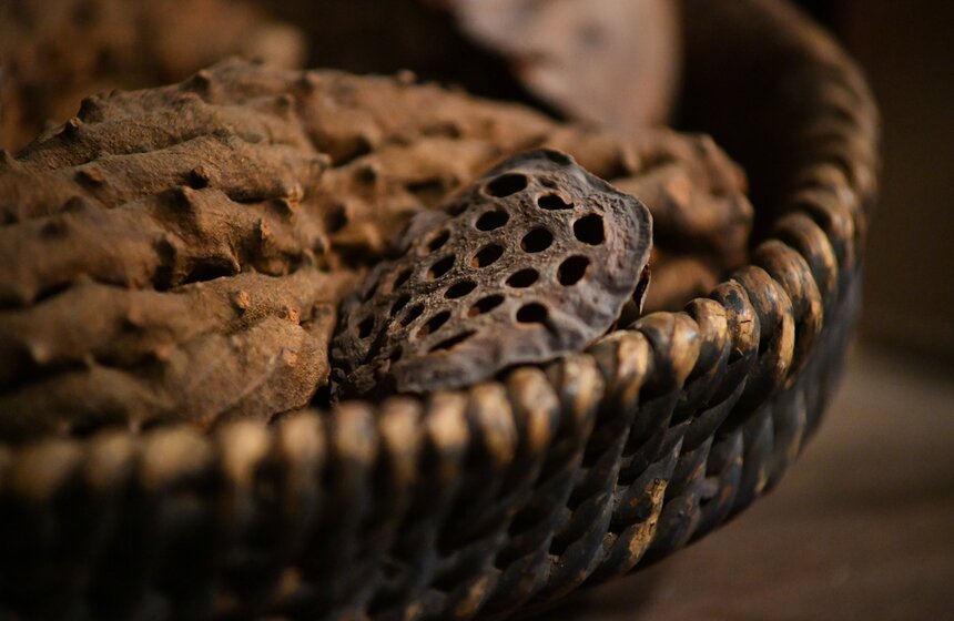 Выставка Кван Йонг Чана открылась в Московском музее современного искусства 15 фото